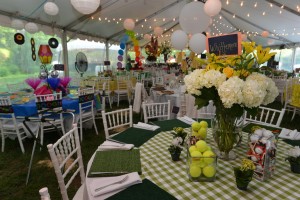 PeytonHoge photos-015